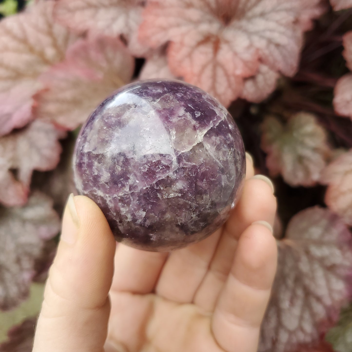 Lepidolite Spheres
