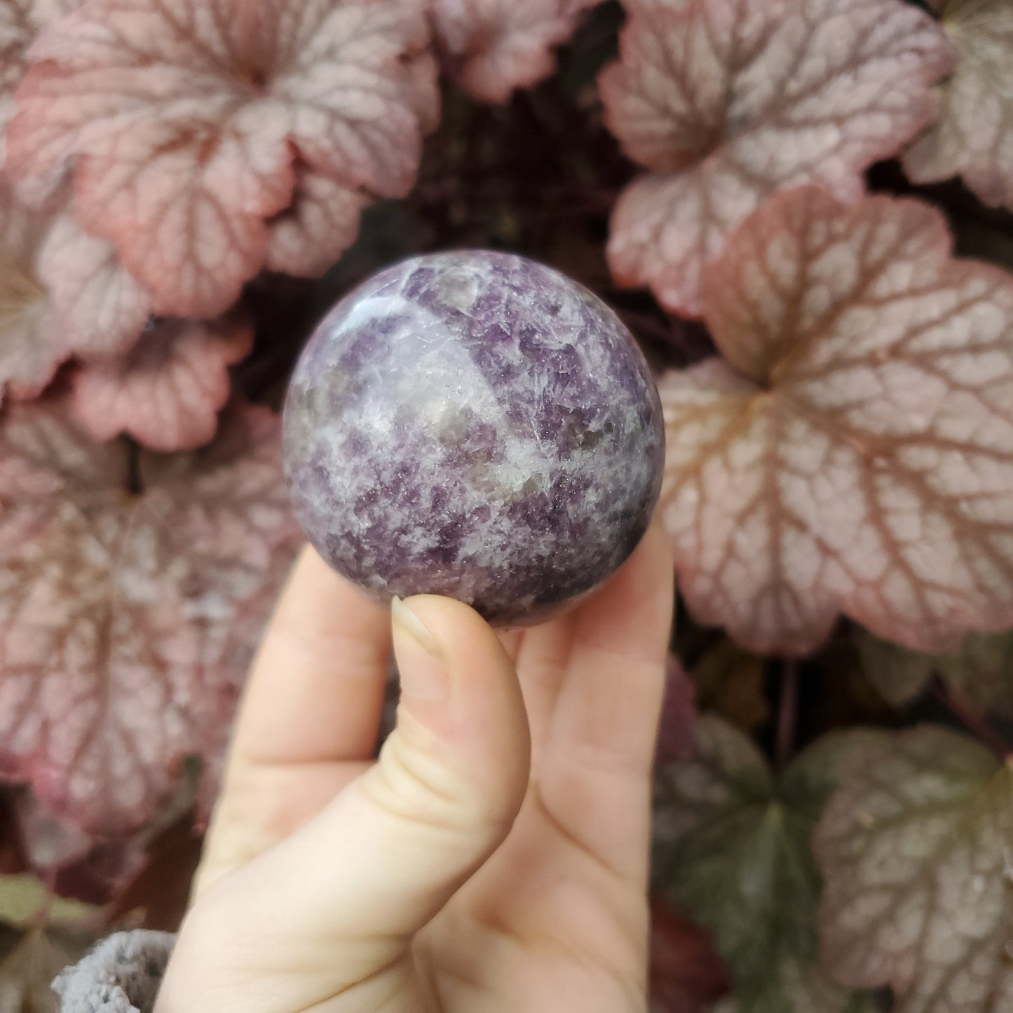 Lepidolite Spheres