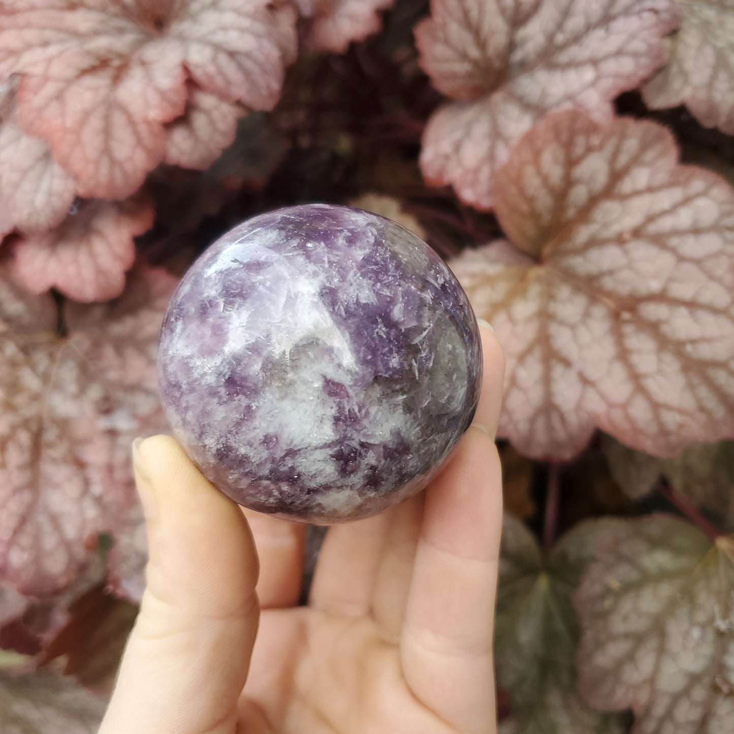 Lepidolite Spheres