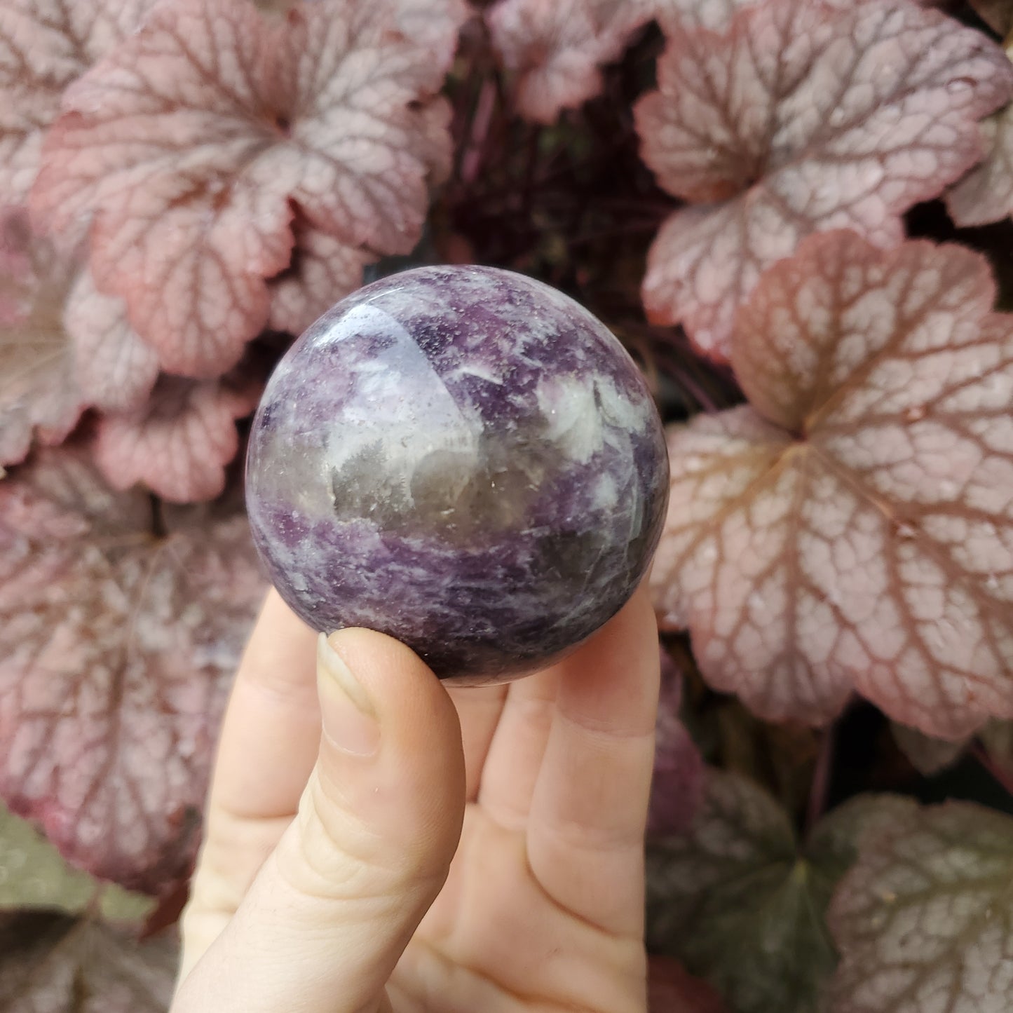 Lepidolite Spheres