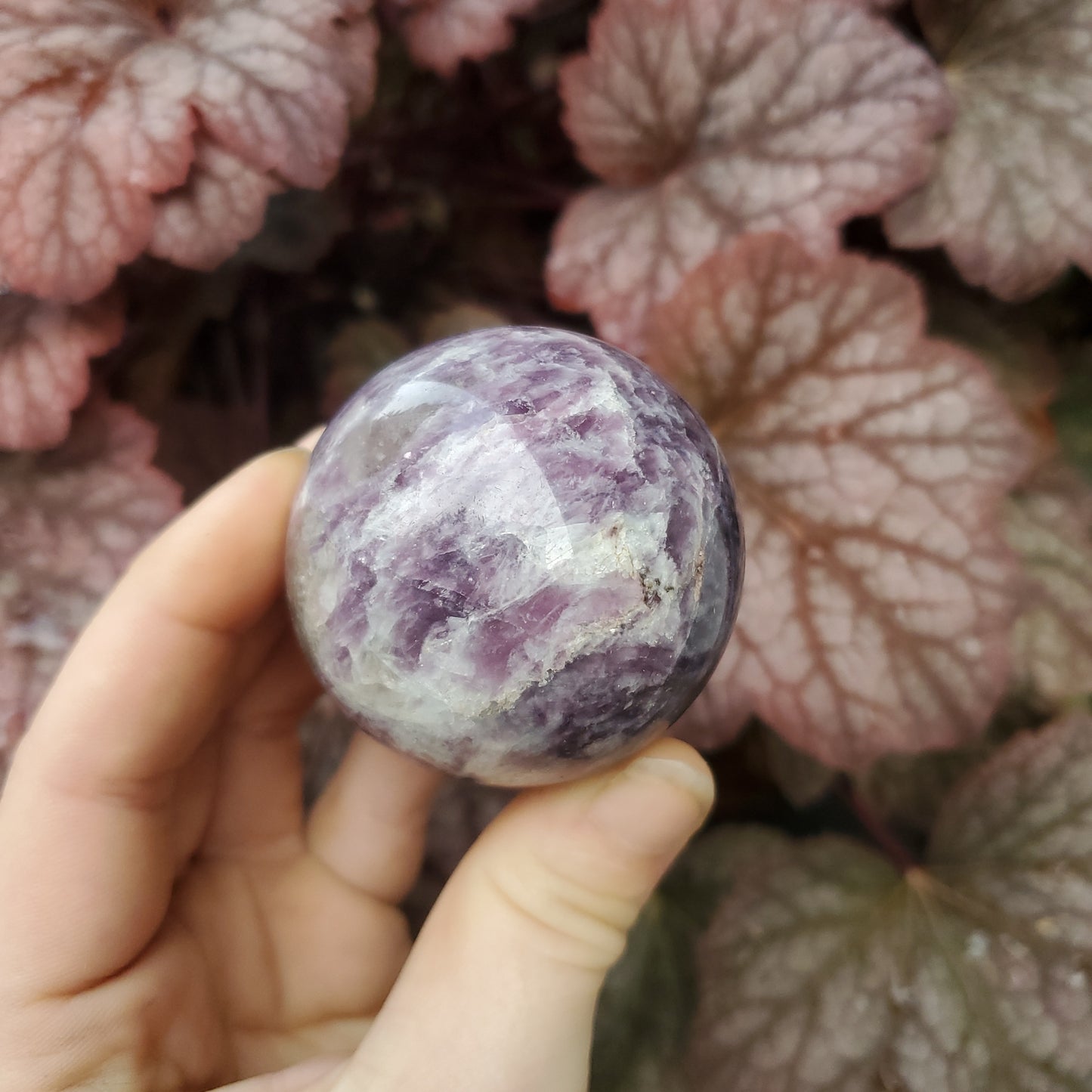 Lepidolite Spheres