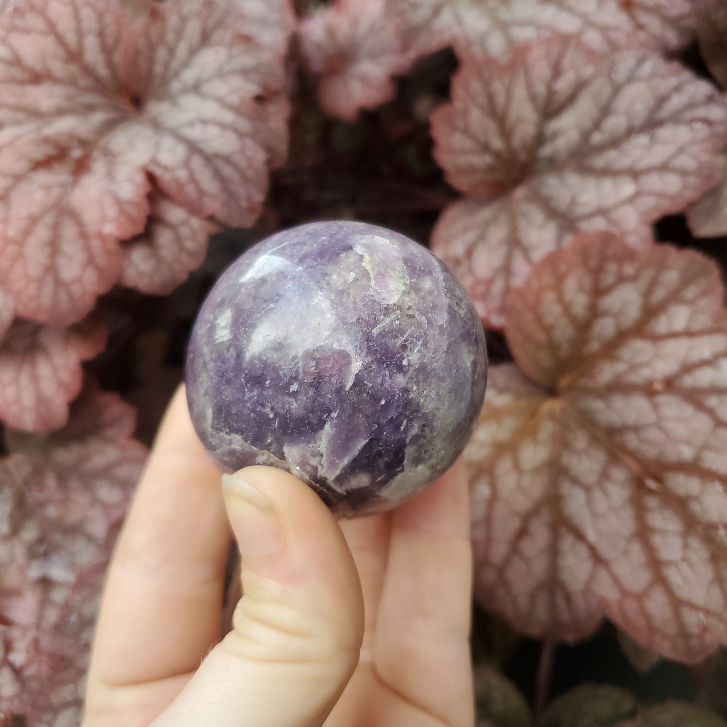 Lepidolite Spheres