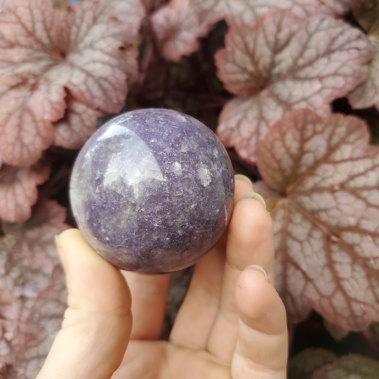 Lepidolite Spheres