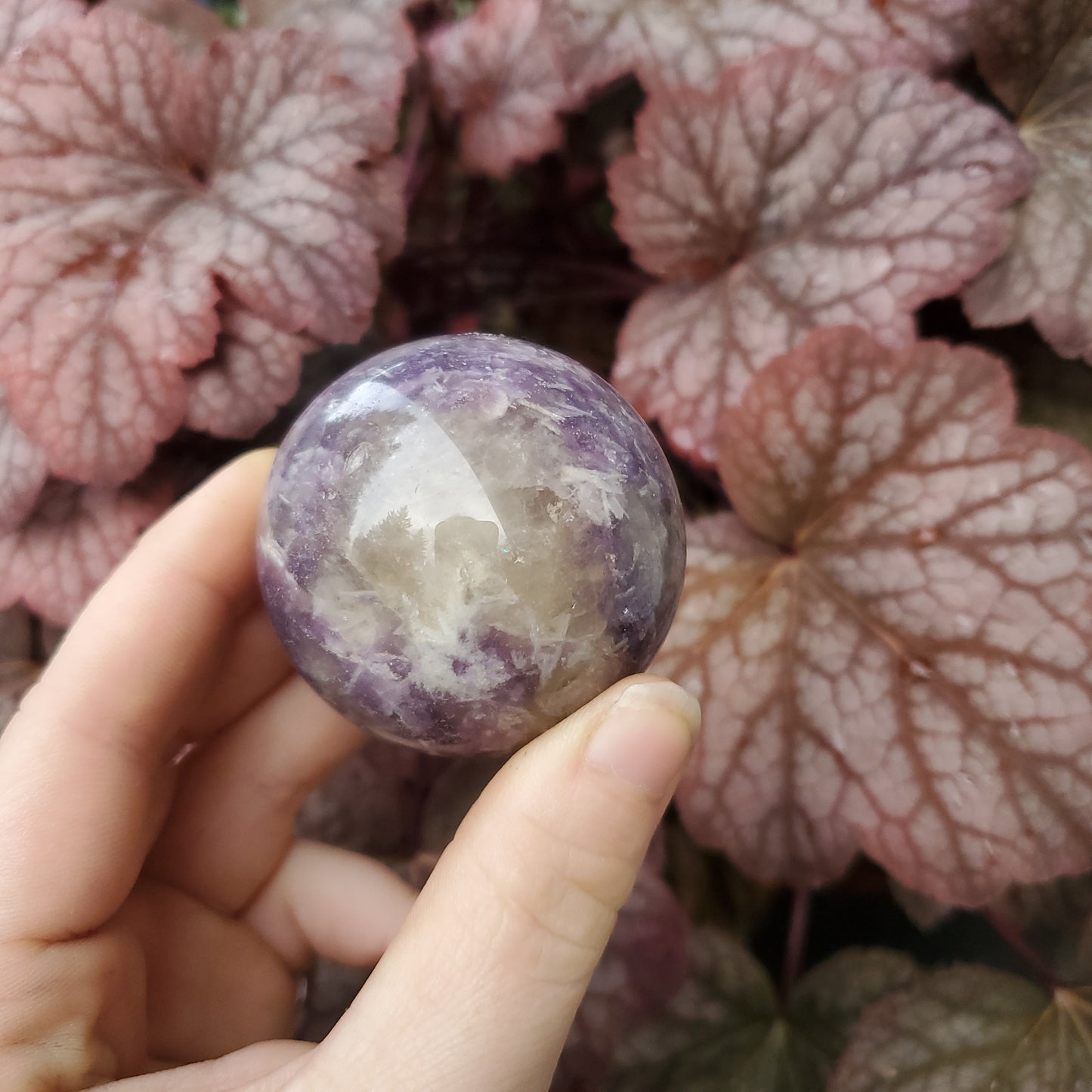 Lepidolite Spheres
