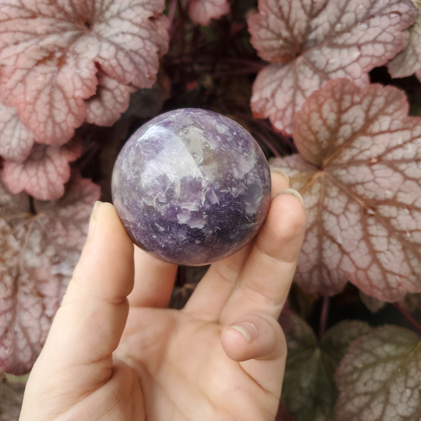 Lepidolite Spheres