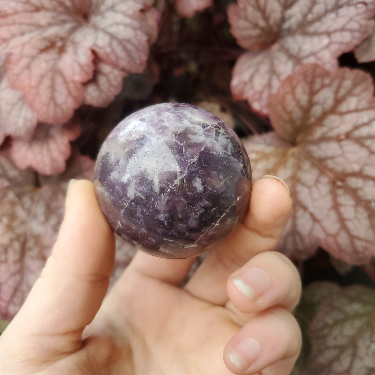 Lepidolite Spheres