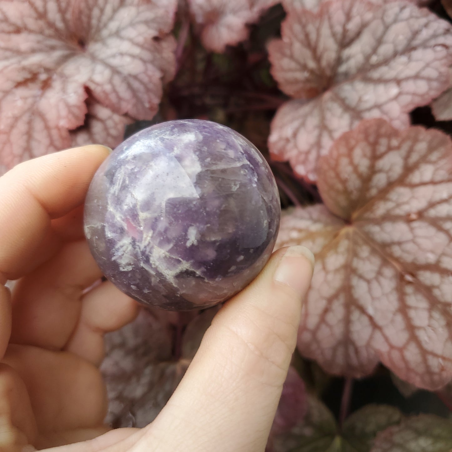 Lepidolite Spheres