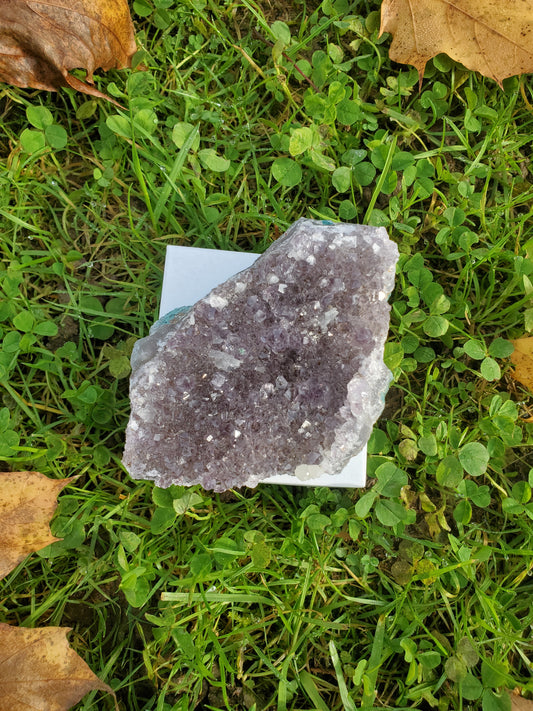 Amethyst clusters (LRG)