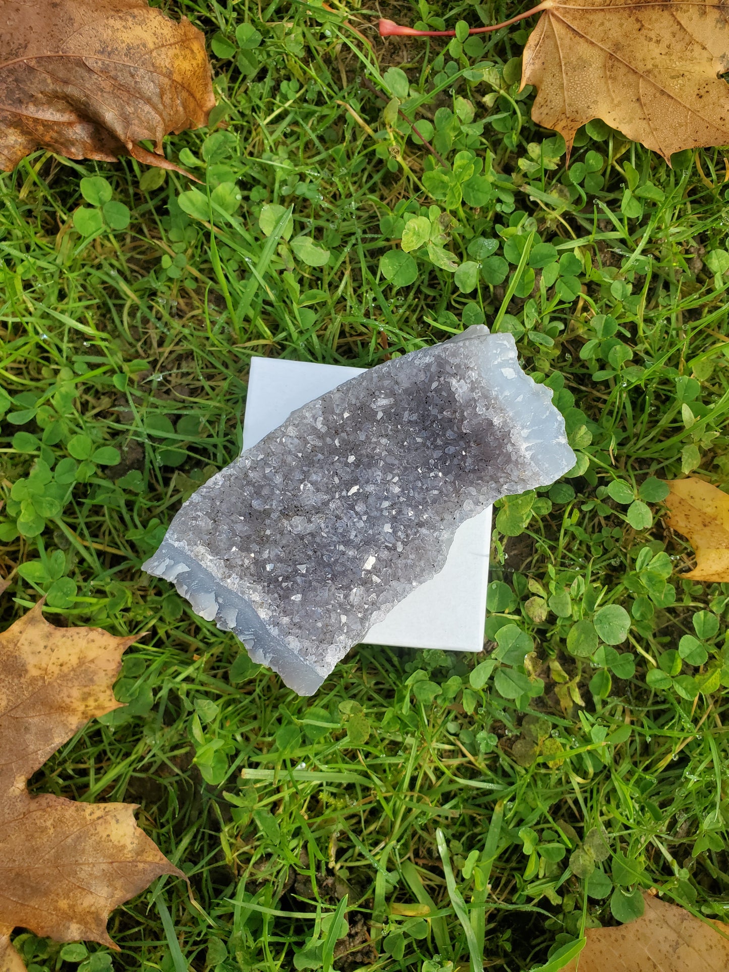 Amethyst clusters (LRG)