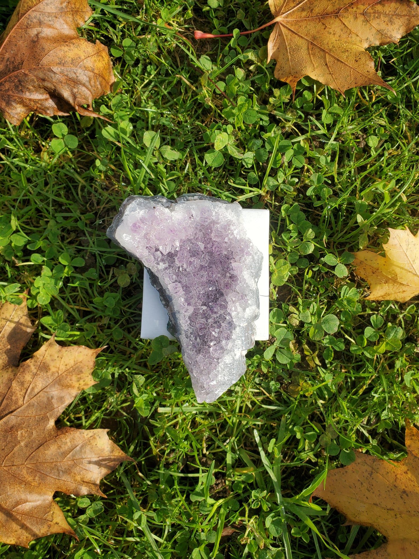 Amethyst clusters (LRG)