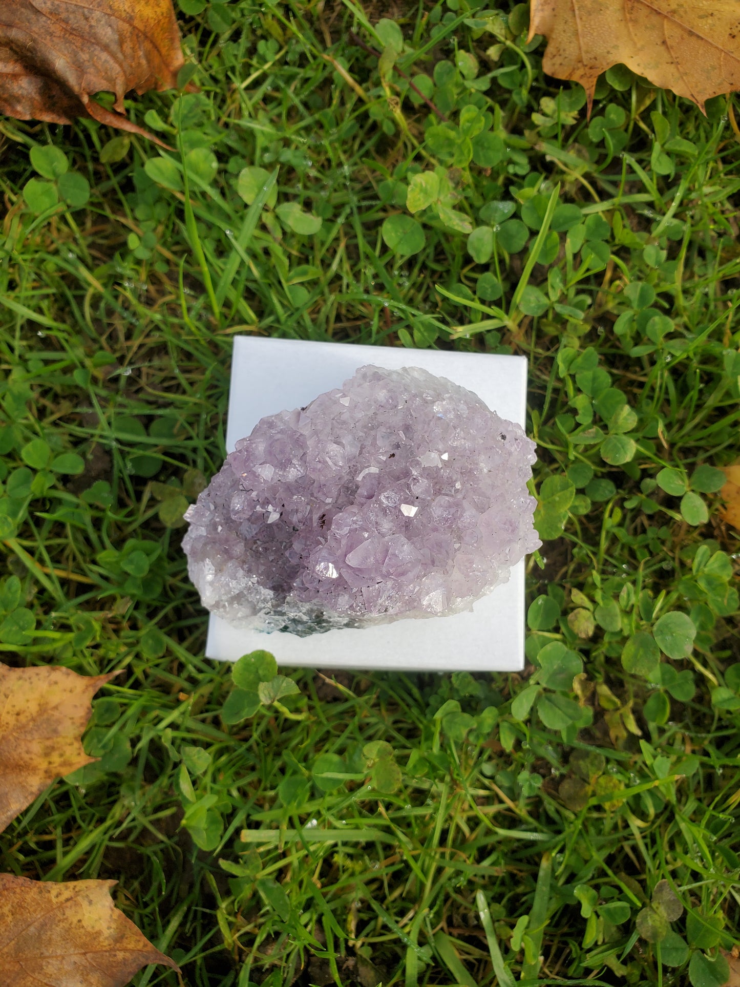 Amethyst clusters (MED)
