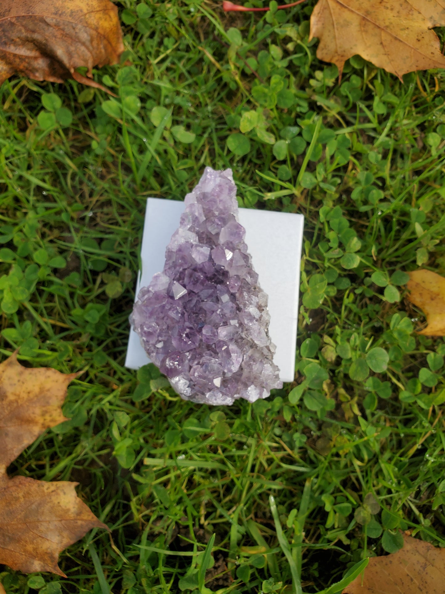 Amethyst clusters (MED)