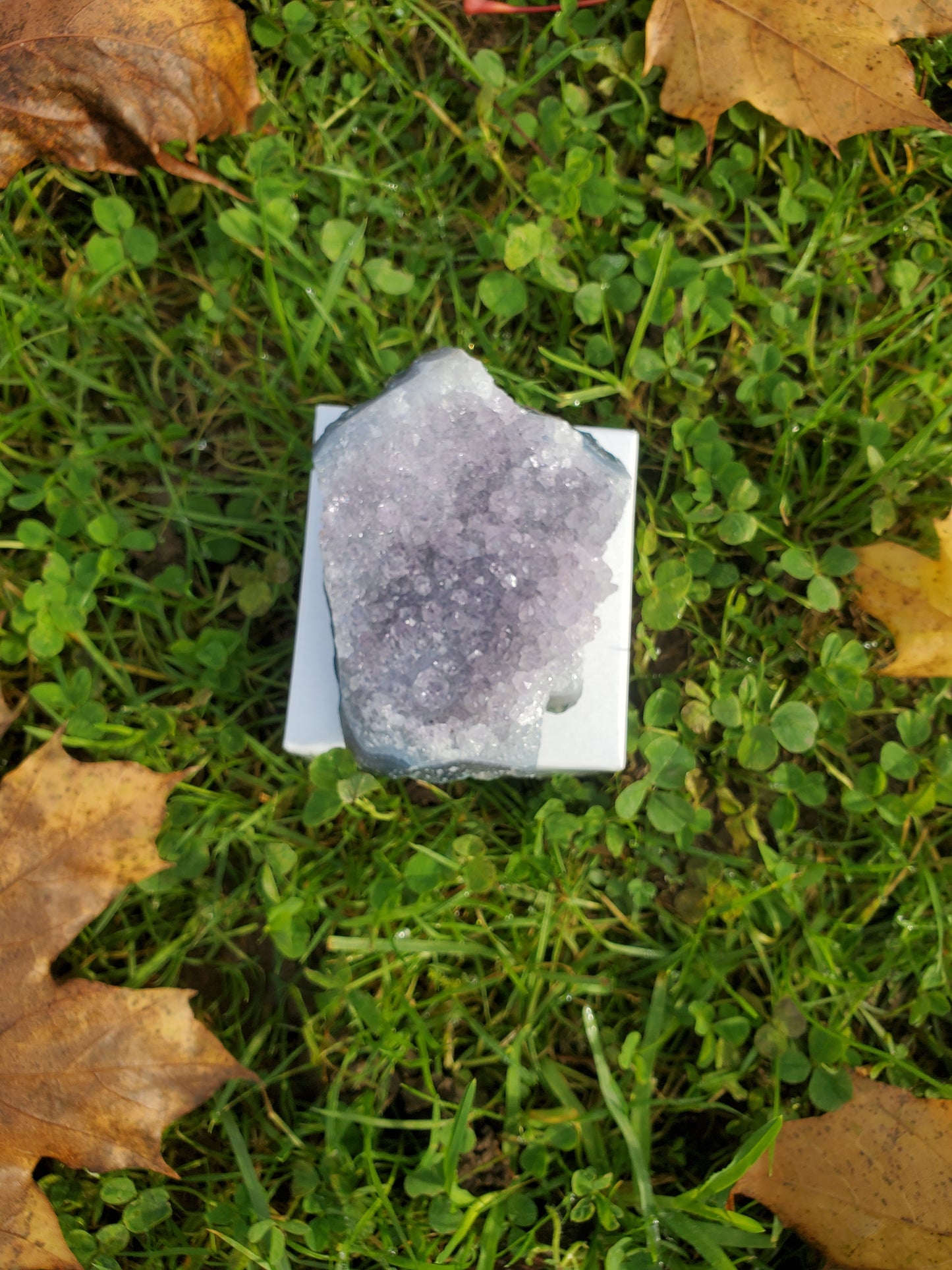Amethyst clusters (LRG)