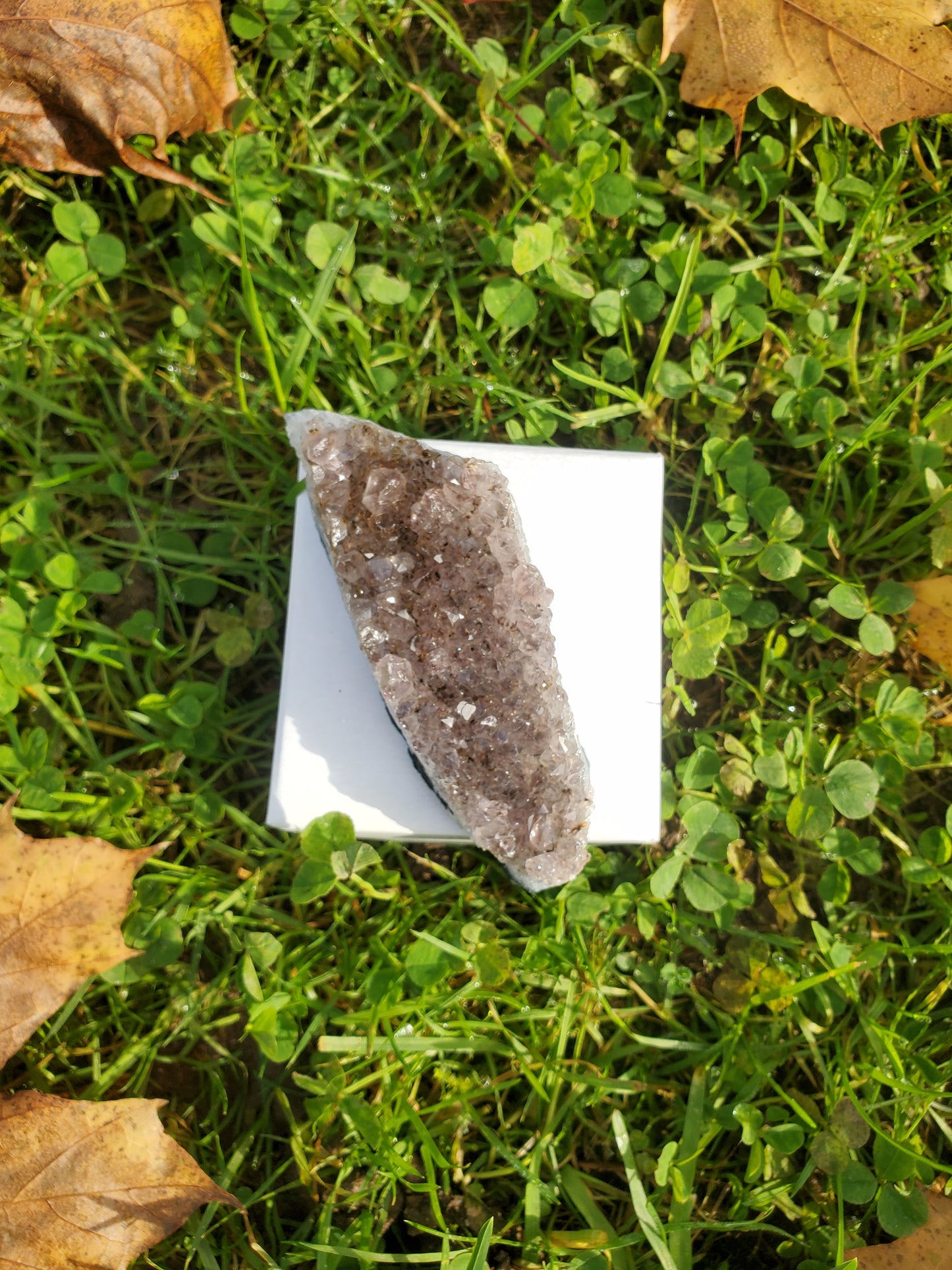 Amethyst clusters (SML)