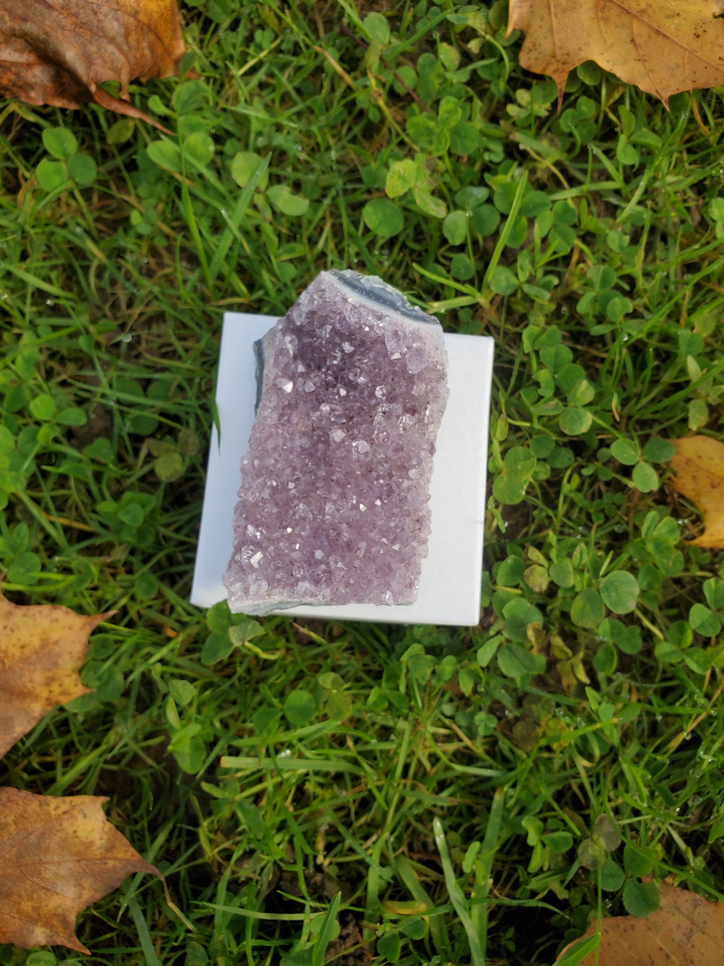 Amethyst clusters (MED)