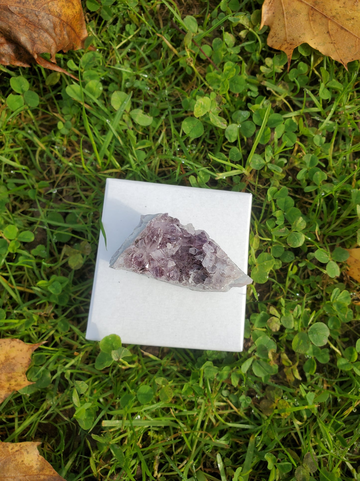 Amethyst clusters (SML)