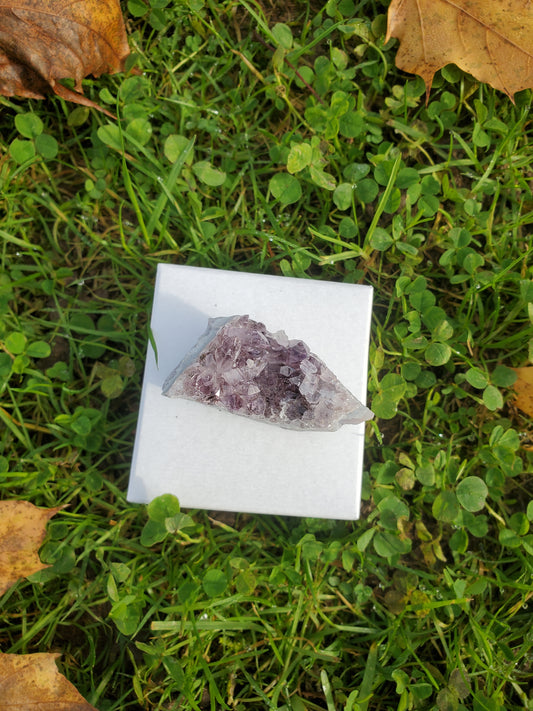 Amethyst clusters (SML)